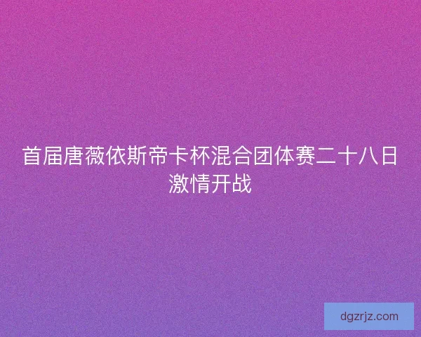 首届唐薇依斯帝卡杯混合团体赛二十八日激情开战